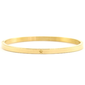 Bangle Steel armband Ster Goud
